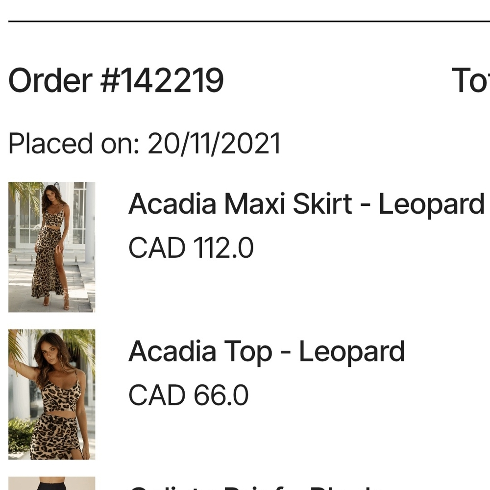 Runaway The Label Acadia Leopard Maxi Skirt and Top Set New without tags Size XS